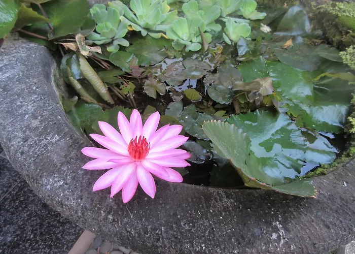 Pensión Rika Sanur